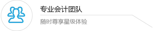 专业会计团队